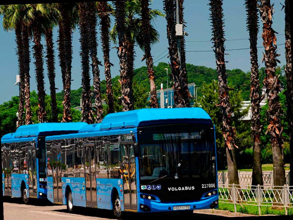 Дополнительные автобусы будут курсировать в ночь на Пасху в Сириусе