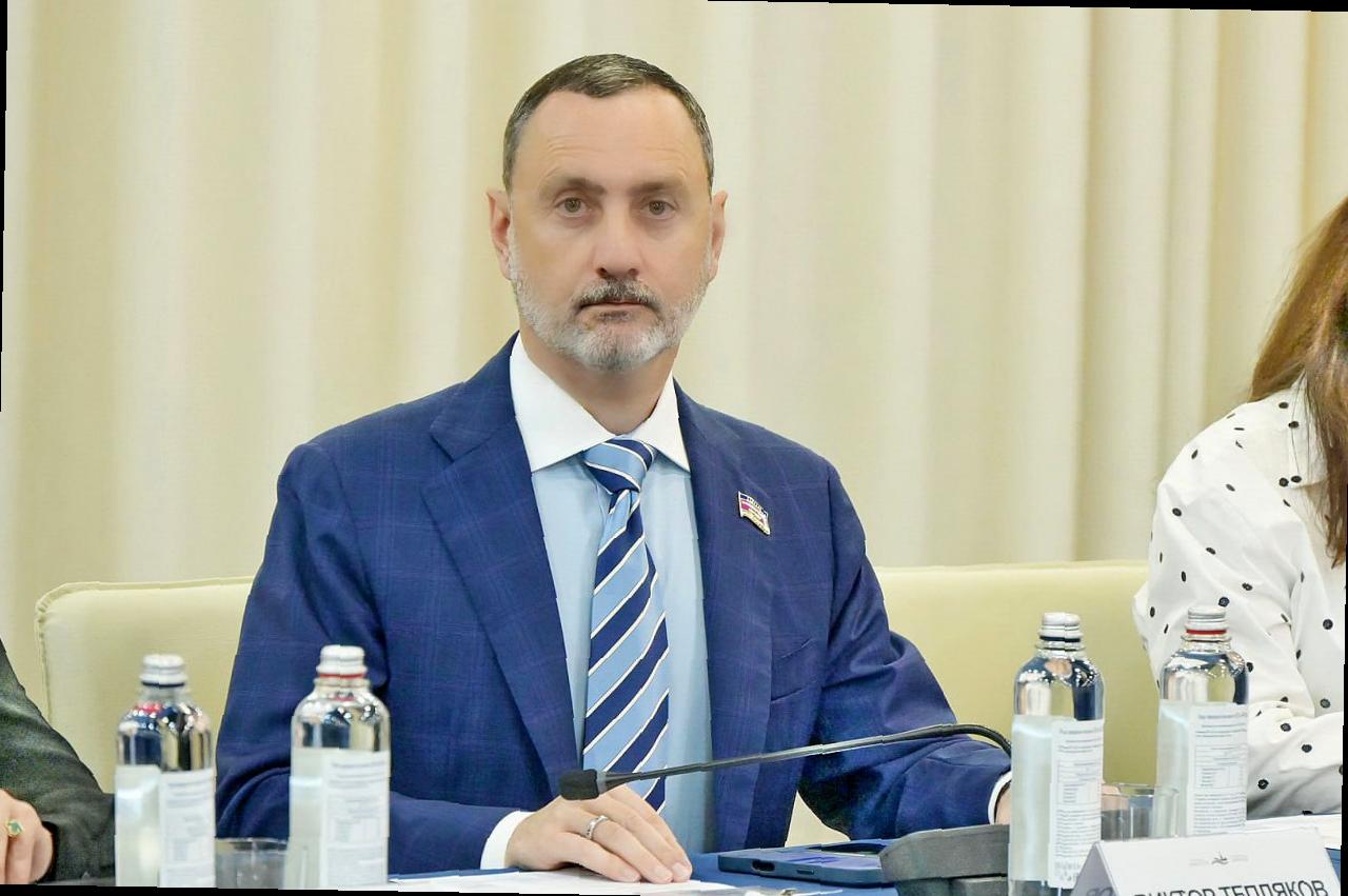 Виктор Тепляков участвовал в рабочей группе Форума «Петербургский диалог»