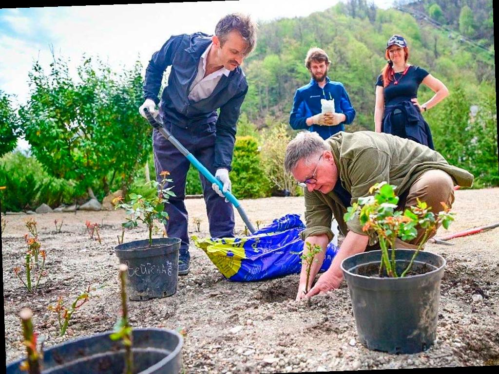 Уникальная роза названа в честь курорта «Роза Хутор»