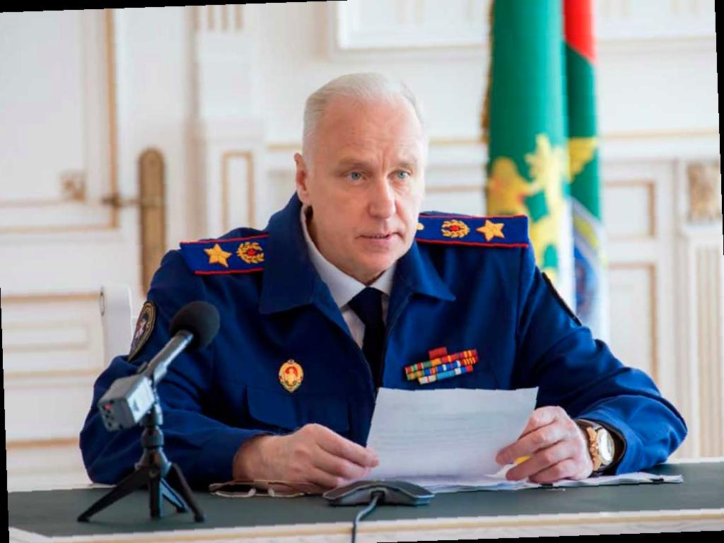Бастрыкин проверит информацию о нападении собаки в ЖК «Моравия» в Сочи