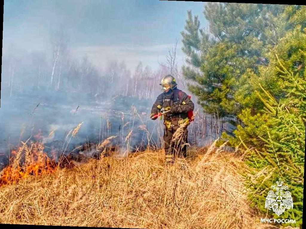 Посещение лесов в Краснодарском крае временно ограничено