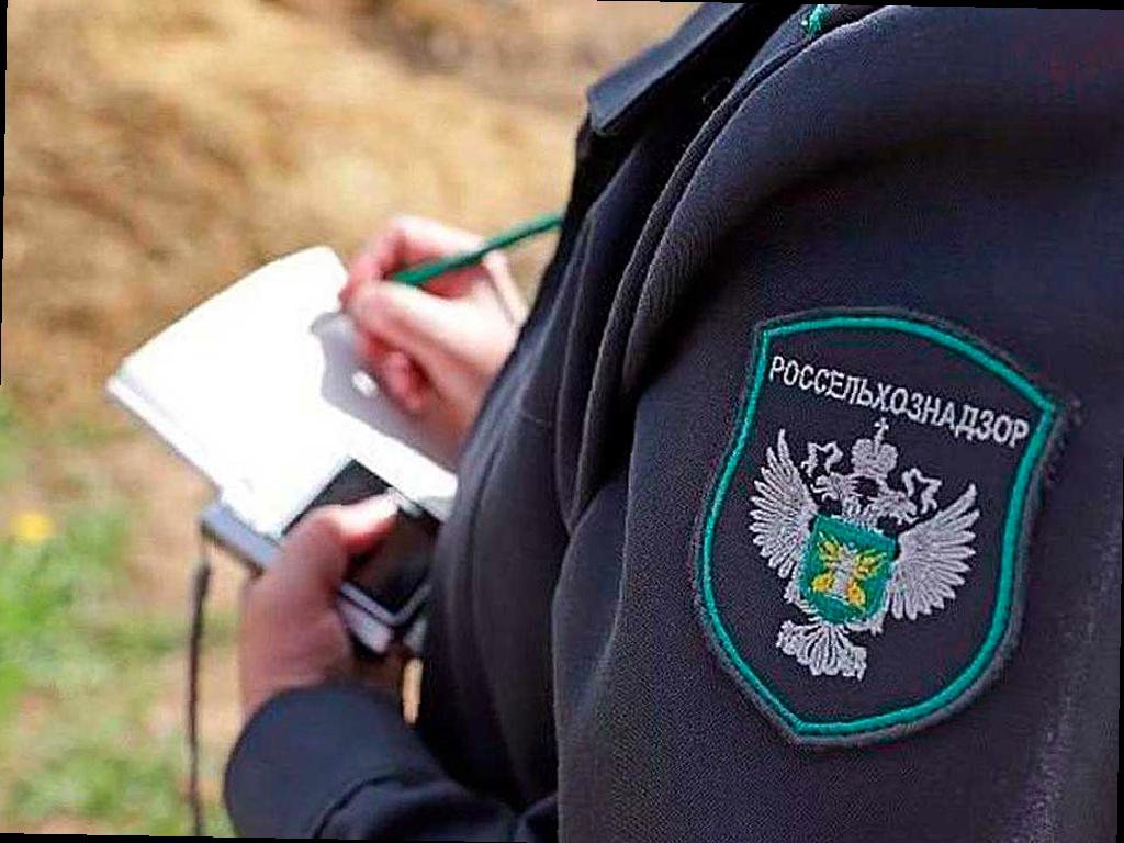 В Адыгее обнаружены 7 зон с опасным сорняком