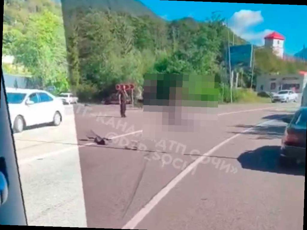 Мотоциклист погиб в аварии на трассе в Красной Поляне