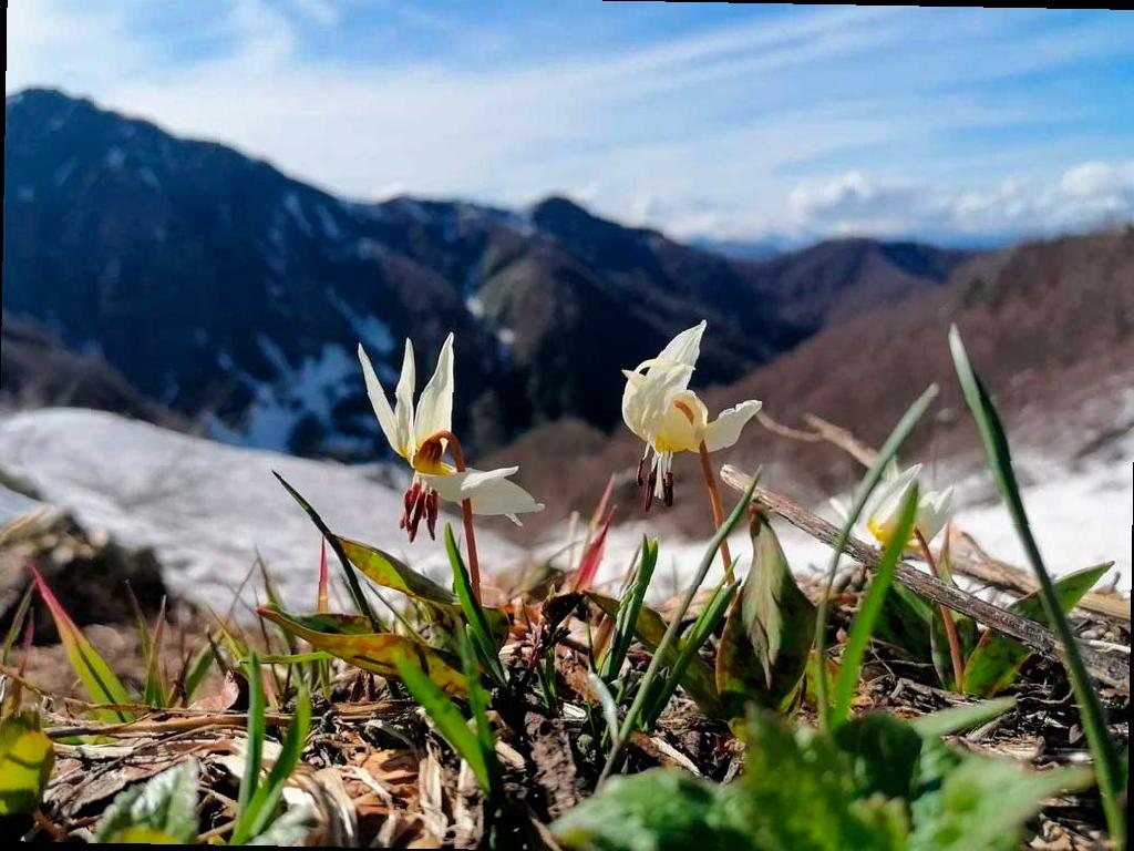 Фотовыставка победителей конкурса «Четыре сезона красоты» откроется в Сочи