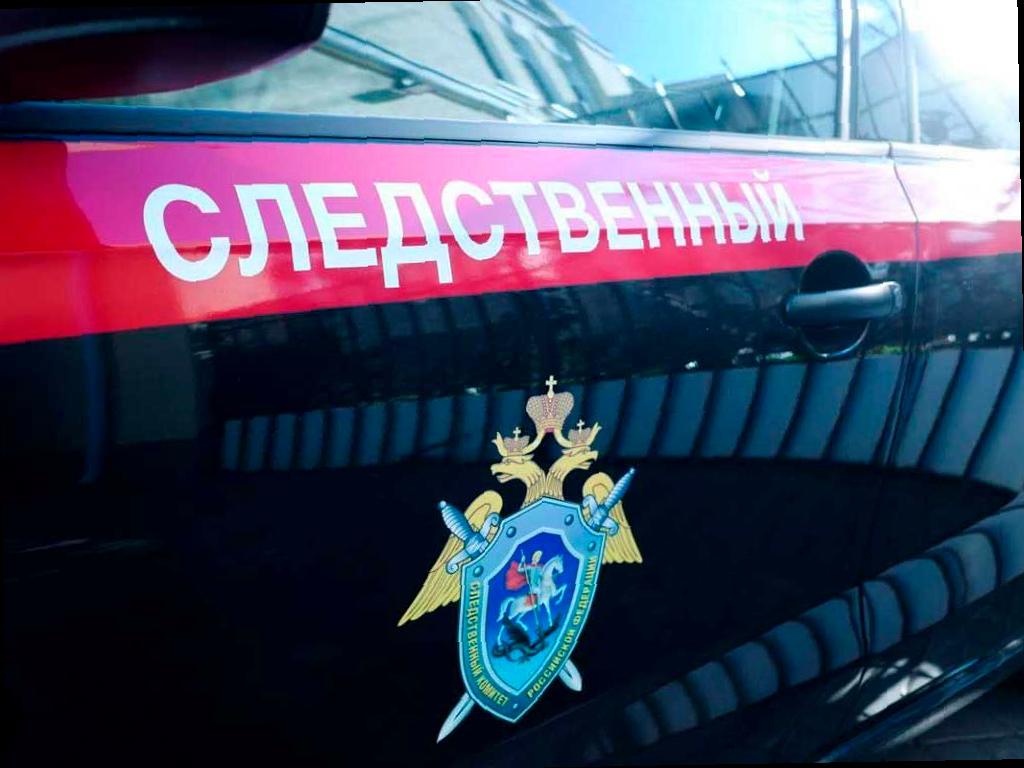 Женщина из Сочи обвиняется в убийстве брата своего сожителя, совершенном с особой жестокостью. Инцидент произошел вечером 8 октября в селе Каштаны Адлерского района. По версии следствия, во время отсутствия сожителя дома, женщина и его брат употребляли алкоголь. Возникла ссора, и когда мужчина уснул, женщина ударила его ножом, ранив бедренную артерию. Соседка, услышав крики, вызвала скорую помощь, но мужчина скончался от кровопотери. Уголовное дело возбуждено, обвиняемая находится под стражей и признала свою вину. Расследование продолжается, проводятся экспертизы, чтобы выяснить мотив преступления.