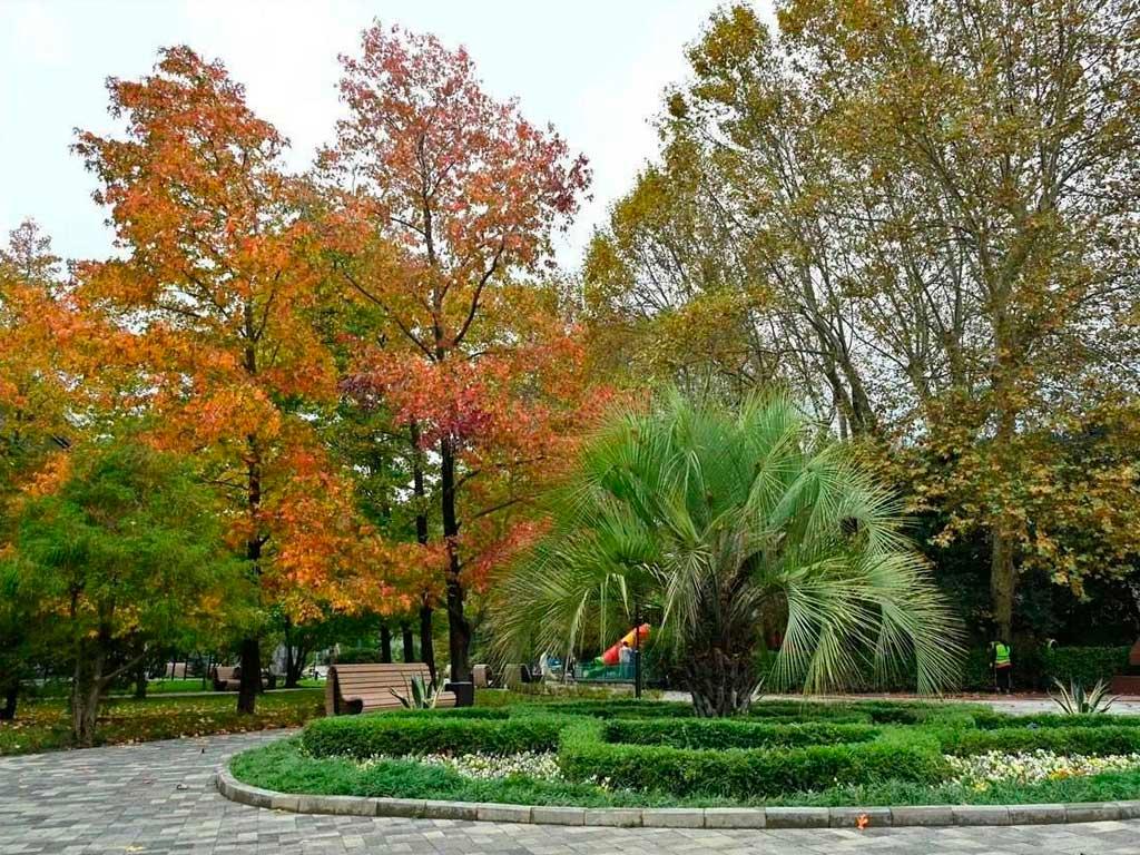 В Хосте открыли обновлённый парк 50 лет Победы к Дню народного единства
