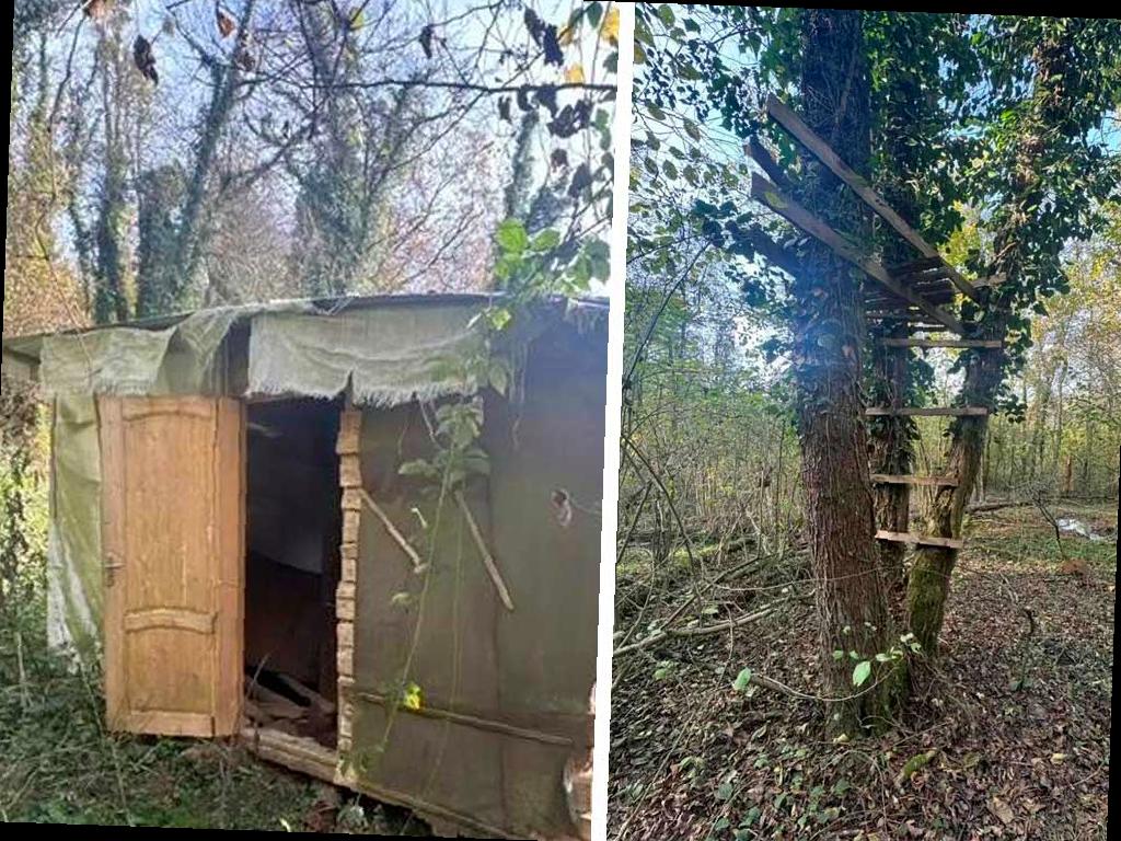 В Сочинском нацпарке обнаружено браконьерское укрытие