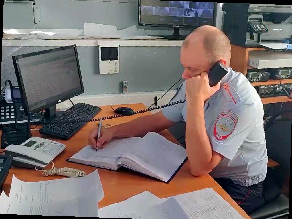 В Сочи началась проверка после жалоб на стрельбу по животным