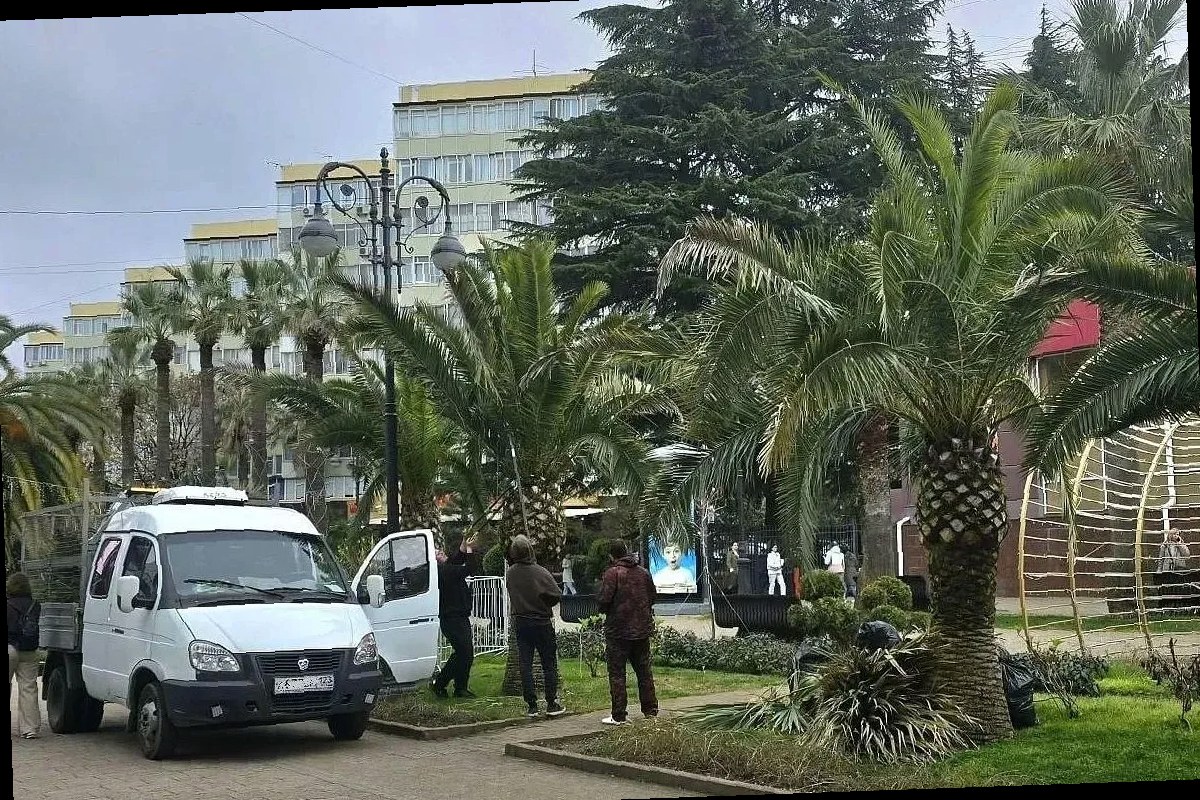 В Сочи начали подготовку пальм к курортному сезону