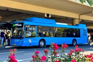 Круглосуточное движение автобуса № 105А в Сочи с 1 июня