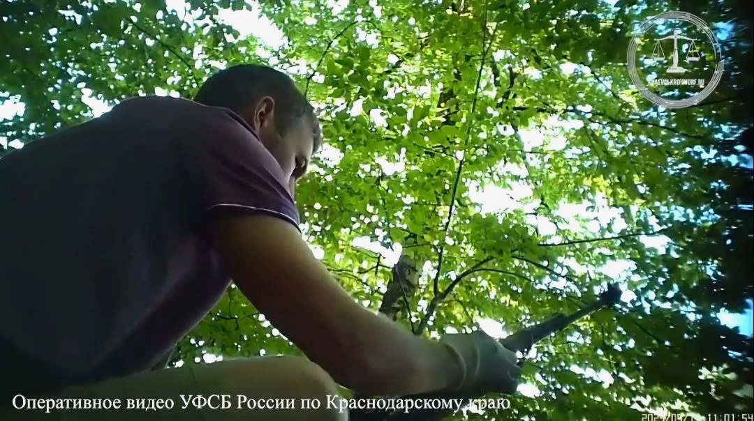 Приговор за хранение и сбыт оружия в Сочи