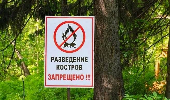 В Сочи введён особый противопожарный режим: запрещено разводить костры