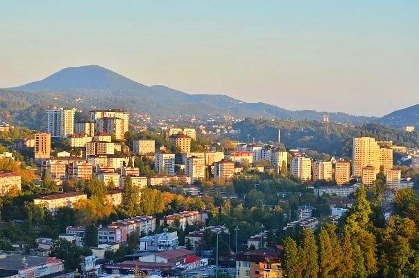 Контроль за торговлей и парковкой в Сочи принес свыше 23,5 миллионов рублей