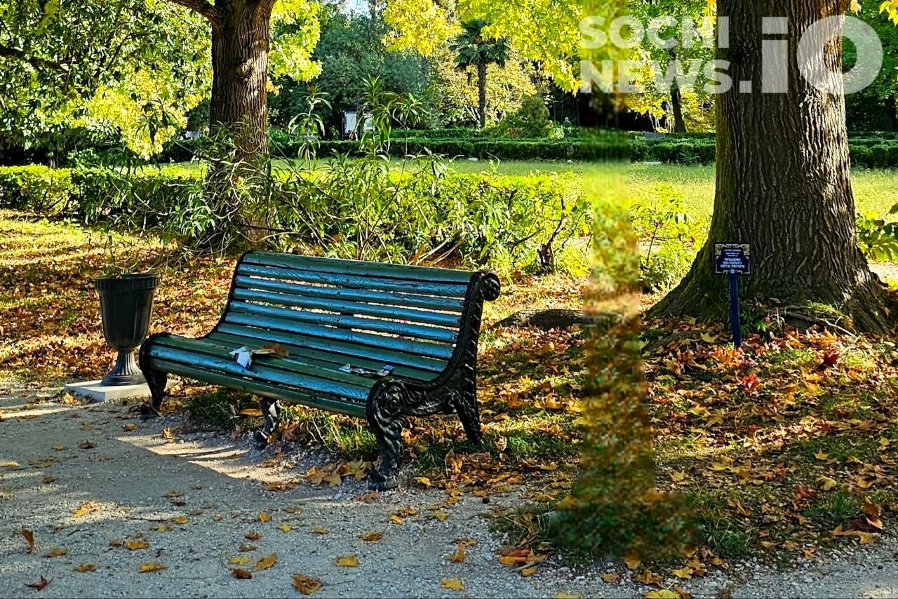 Продолжение бархатного сезона в Краснодарском крае: климатическая осень ожидается позже